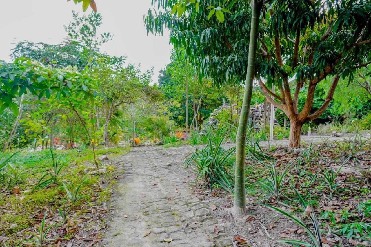 Pousada Kabana De Pedra Ibicoara Buitenkant foto